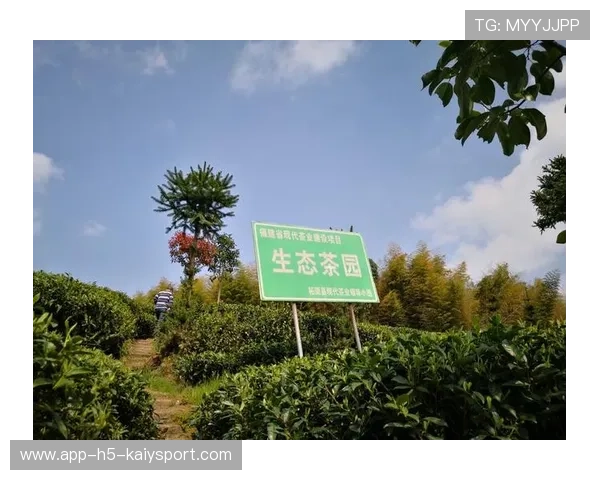 福鼎外卖商家辱骂吐口水，网友强烈谴责，福建福鼎一商家在外卖中吐口水