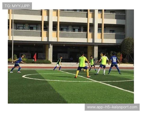 足球协会治理结构是否合理，足球协会的组织机构